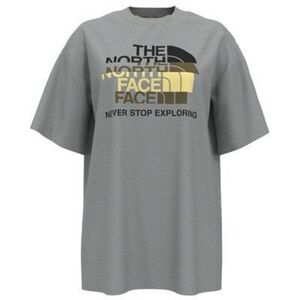 The North Face Coordinates Graphic Boyfriend T-Shirt - Tnf Light Grey Heather Si